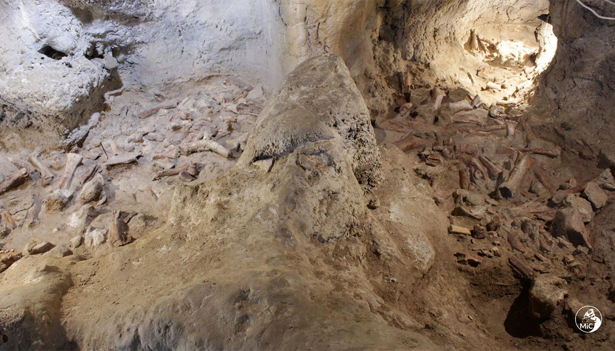 Circeo, incredibile scoperta: trovati i resti di 9 Neanderthal