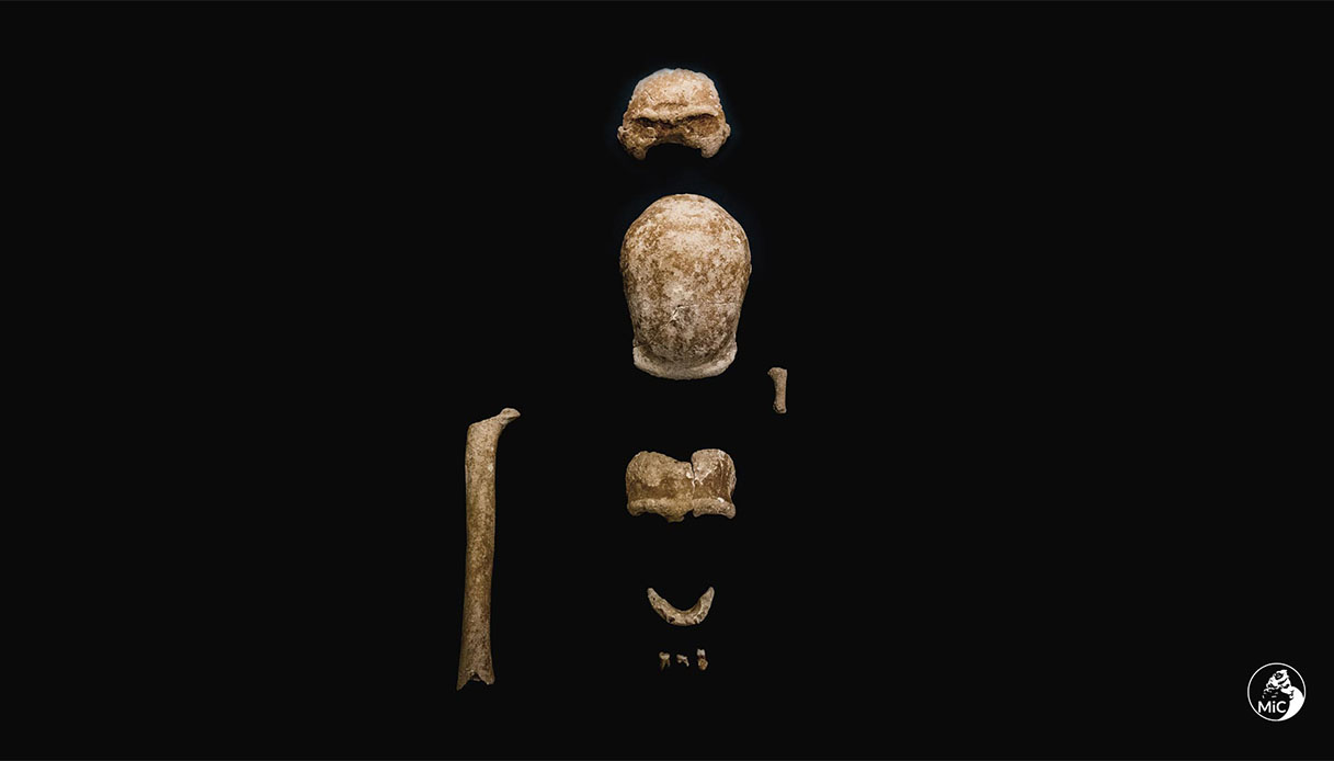 Circeo, incredibile scoperta: trovati i resti di 9 Neanderthal