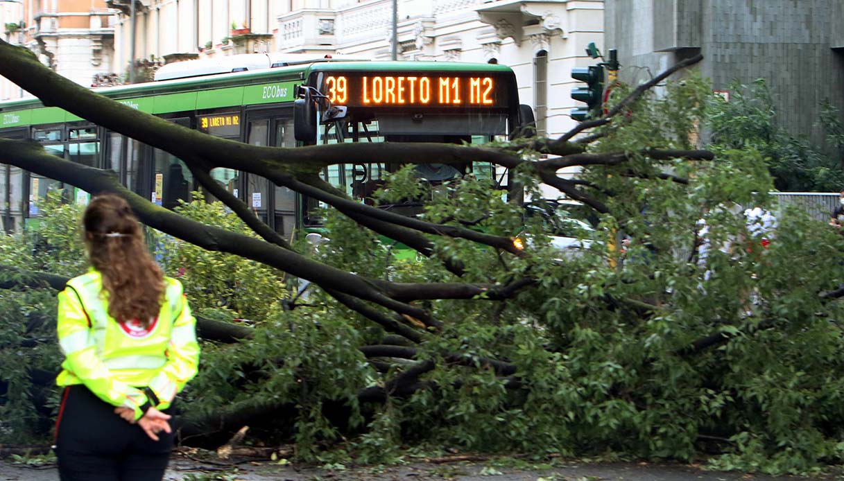 Violento temporale a Milano: due vie bloccate dagli alberi caduti