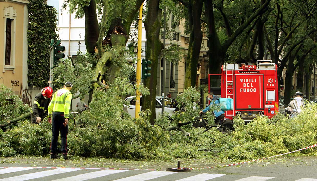 Violento temporale a Milano: cadono due alberi vicino a Loreto