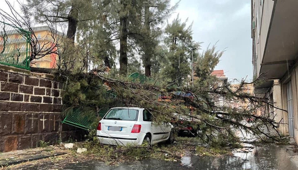 Maltempo, tromba d'aria a Catania: alberi sradicati e feriti