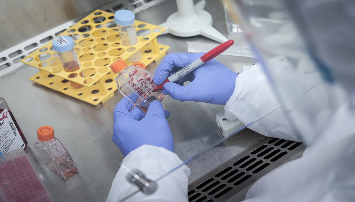 Novavax può convincere no vax a vaccinarsi: l'efficacia e quel particolare diverso dagli altri sieri