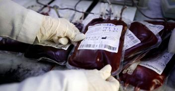 Sangue