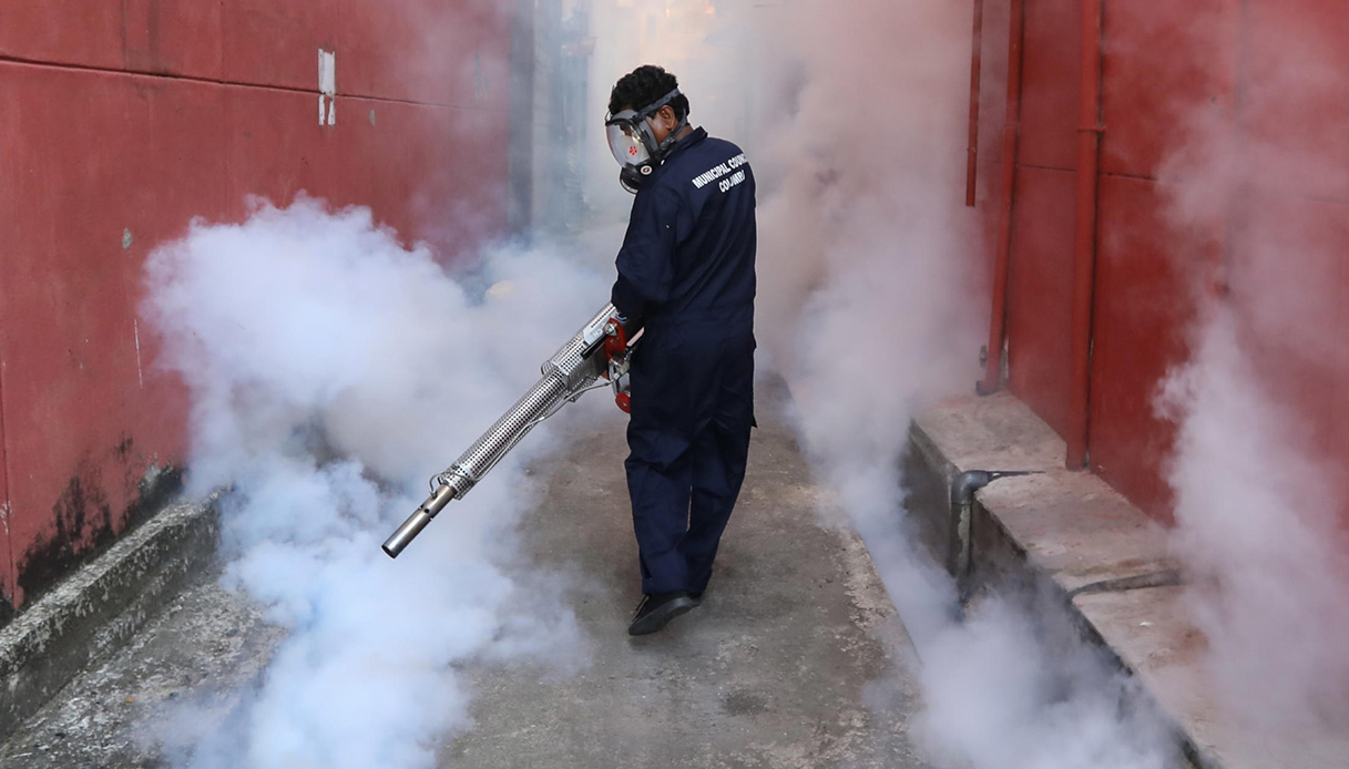 Emergenza dengue da Singapore: i rischi per l'Italia per la diffusione del virus della febbre spaccaossa
