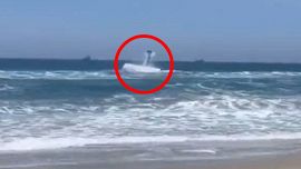 Plane crashes into the sea a stone's throw from the beach during a race between rescuers: video of the accident