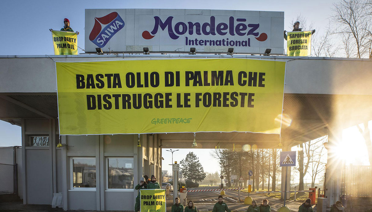 Torna l’olio di palma nei biscotti italiani per colpa della guerra in Ucraina: fa male? Facciamo chiarezza