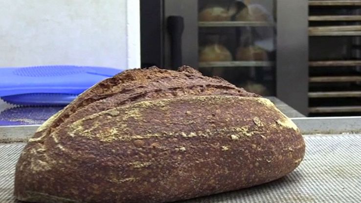 Pane con farina di grillo presto in vendita a Torino, il gusto ricorda la  nocciola: il video dal panificio