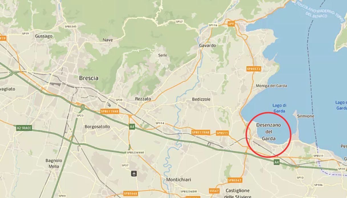 Moria di gabbiani sul Lago di Garda, le analisi confermano l’influenza aviaria nei volatili