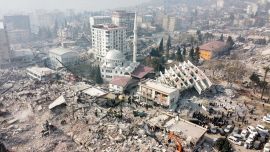 Terremoto in Turchia, il gatto Enkaz estratto vivo dalle macerie diventa  inseparabile dal suo salvatore