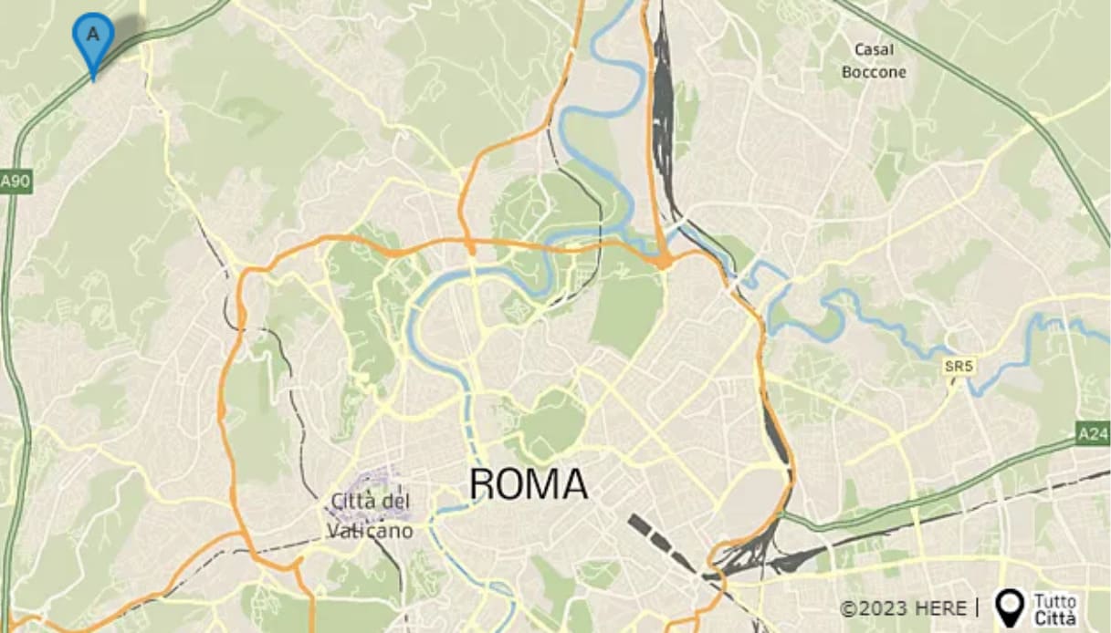 Attraversa sulle strisce e viene investita col cane a Roma: 69enne morta insieme all'animale, fermato 19enne