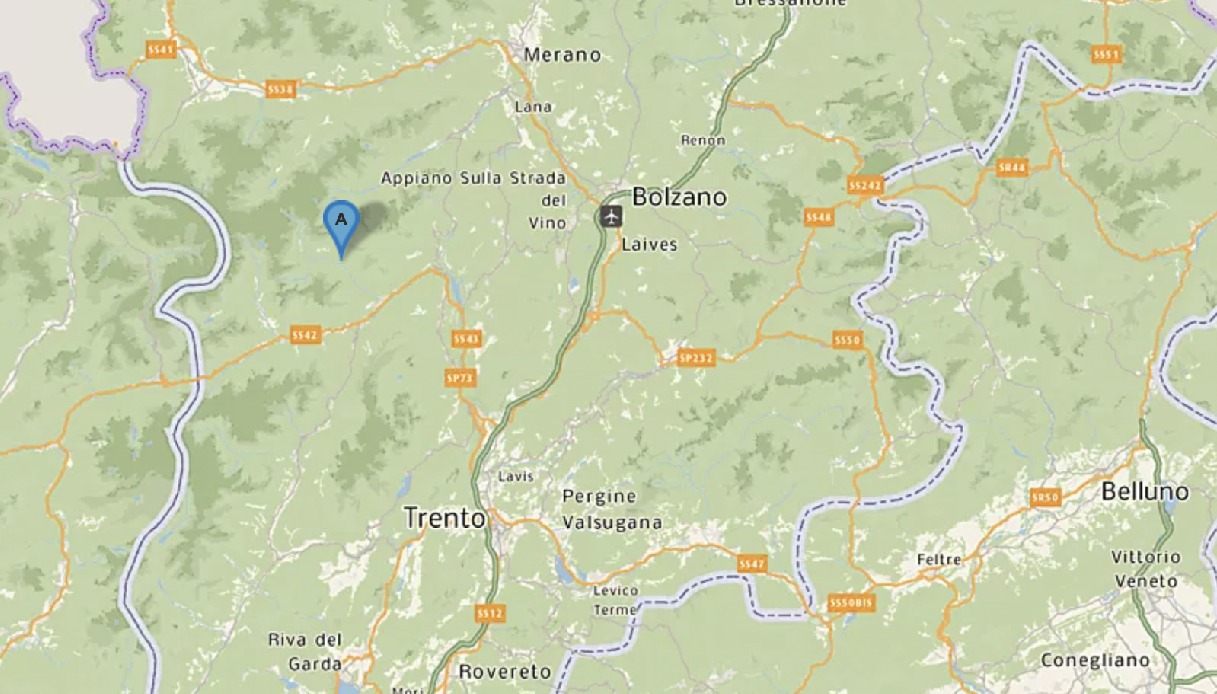 Orso Trentino