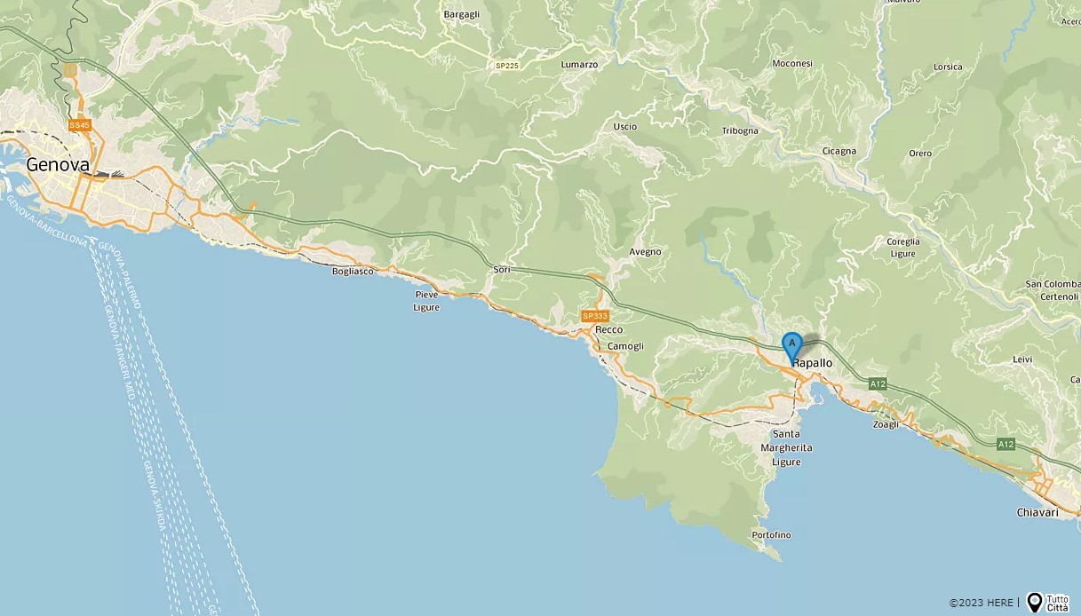 Un viale intitolato a Gianluca Vialli a Rapallo: costeggia un campo da calcio, arriva l'ok da parte del Comune