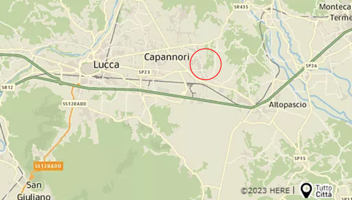Donna morsa da un lupo a Porcari, vicino Lucca: il post su Facebook del sindaco Leonardo Fornaciari