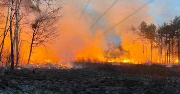 incendio-parco-delle-groane-vigili