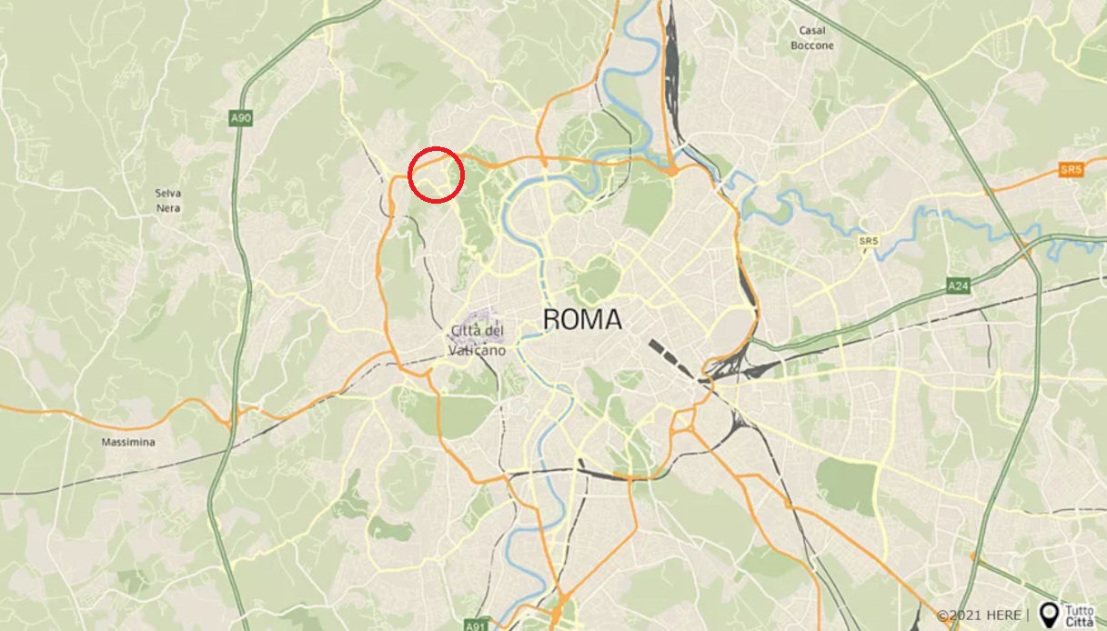 Emergenza cinghiali a Roma: cane scappa e viene investito