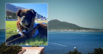 morto-nerone-sindaco-cane-castellammare