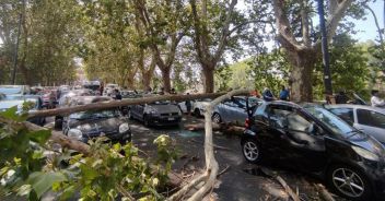 Maltempo a Roma, albero si spezza e colpisce dieci auto sul lungotevere Tor di Nona