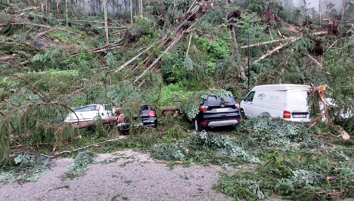 Maltempo E Tromba D'aria Devastano Il Cadore E Il Comelico: Alberi ...