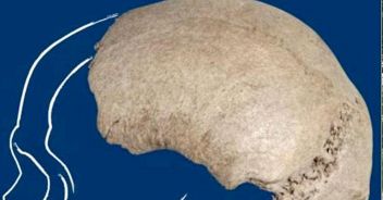 Cranio di Homo Sapiens trovato nel fiume Po tra Cremona e Piacenza