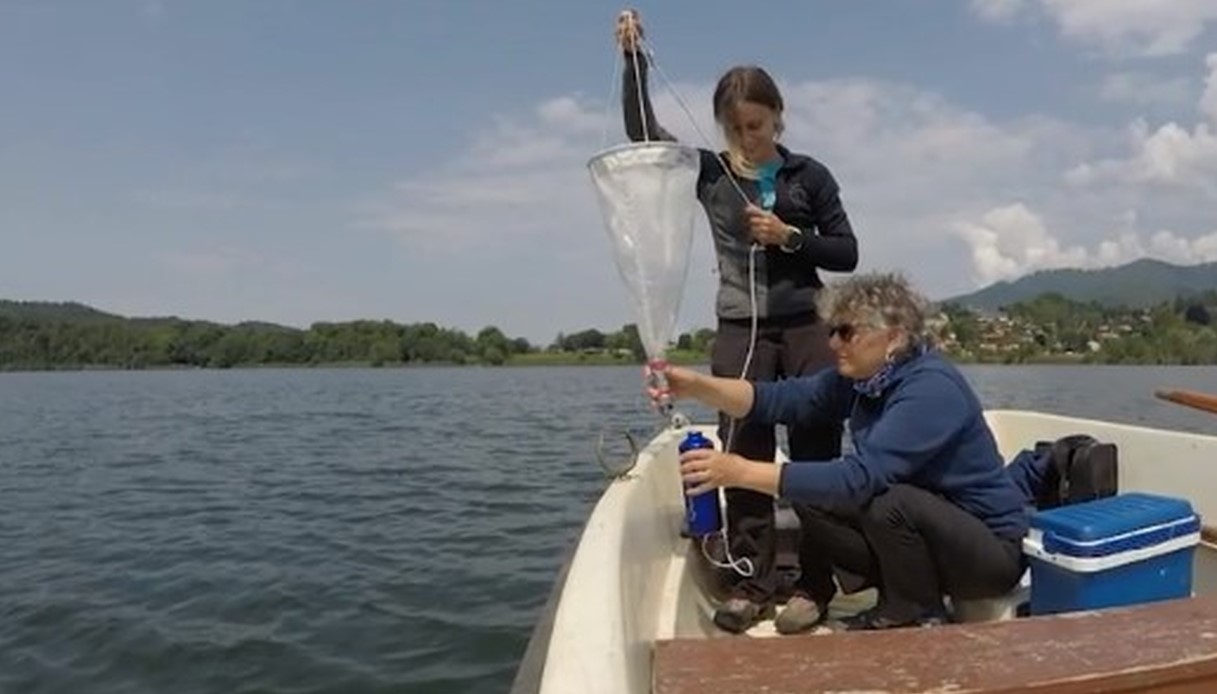 Il Lago Maggiore è tra i più inquinati al mondo dalla plastica: lo studio di Nature che sconvolge l'Italia