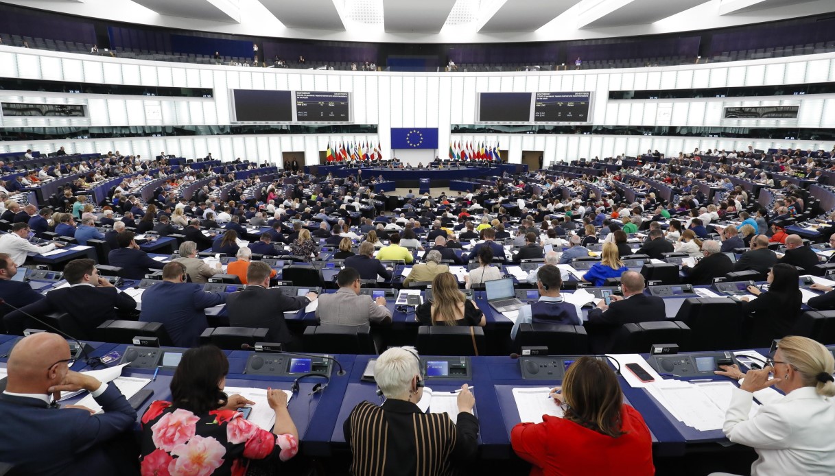 Legge Per Il Ripristino Della Natura Approvata Dal Parlamento Europeo Le Reazioni Di Greta