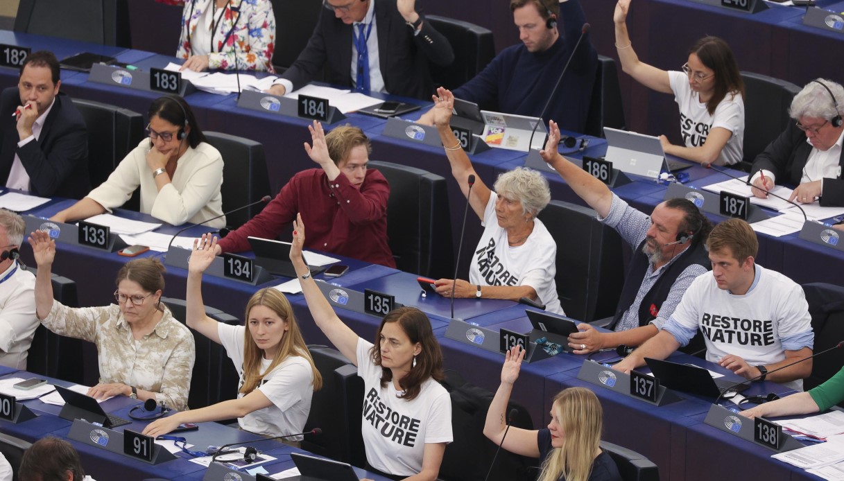 Legge per il ripristino della natura approvata dal Parlamento europeo, le reazioni di Greta Thunberg e Salvini