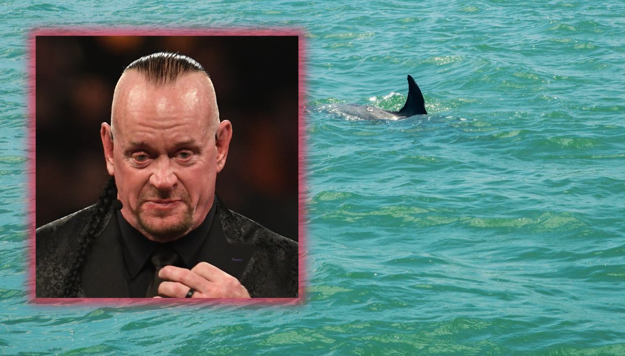 Il wrestler The Undertaker salva la moglie da uno squalo: il video  pubblicato sui social diventa virale