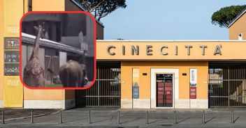 giraffa-elefante-cinecitta