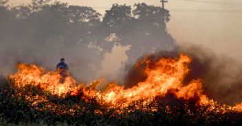 Incendio Taggia Badalucco
