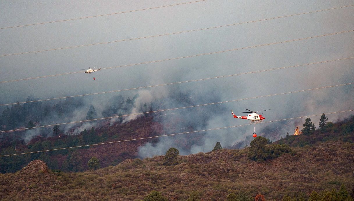Enormes incendios forestales en Tenerife donde las llamas ya han consumido más de 800 hectáreas de terreno