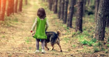 Bimba di due anni si perde nel bosco vicino casa, ritrovata sana e salva dai cani di famiglia