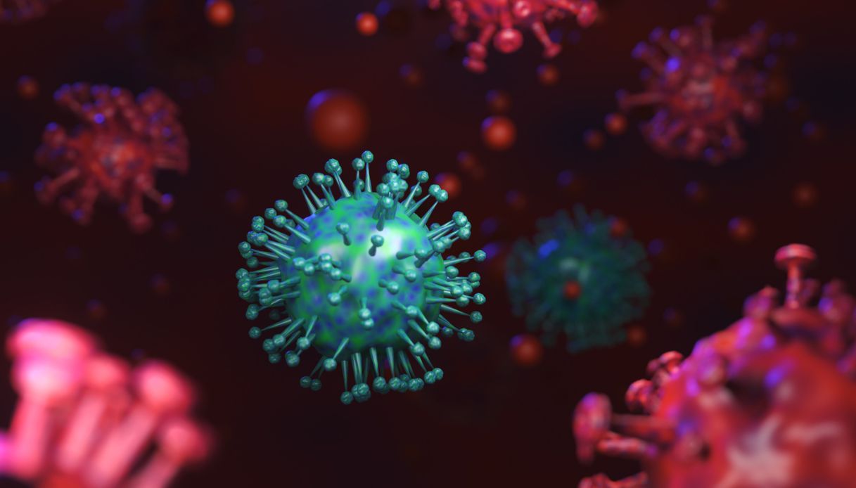 Cos’è la malattia X, il nuovo virus che secondo l’Oms potrebbe provocare una pandemia più grave del Covid