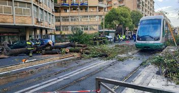 Donna morta a Roma per il crollo di un albero nel quartiere Monteverde