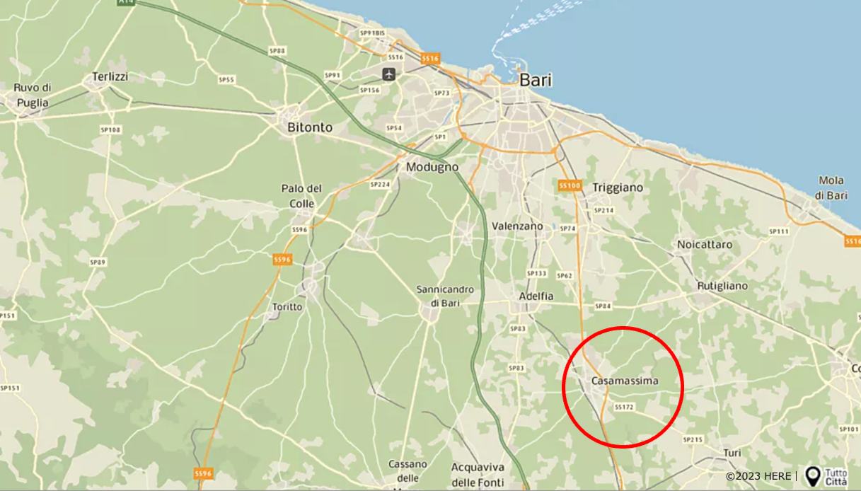 Litiga su TikTok e Instagram con l'ex marito, lo fa picchiare con mazze e tirapugni vicino Bari: 6 arresti
