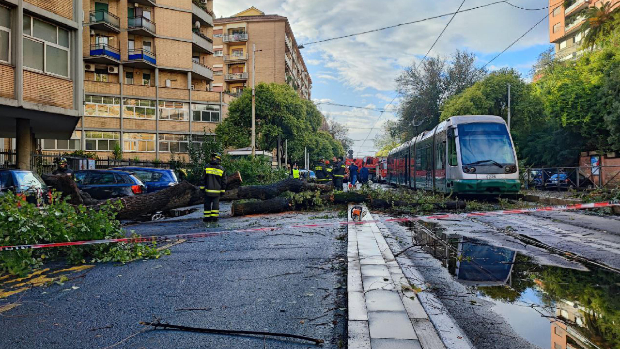 Donna morta a Roma per il crollo di un albero nel quartiere Monteverde
