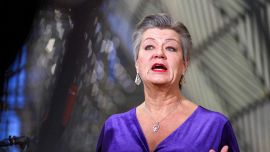 Terroralarm på grund av risken för attentat i Europa, särskilt vid jul: Johanssons rädsla (Europeiska unionen)