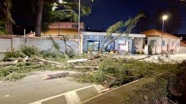 Aviso de viento en Piamonte de 224 kilómetros por hora cerca de Turín: árboles caídos, tejados rotos