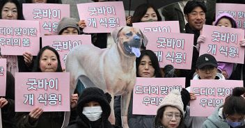 corea-del-sud-carne-cane