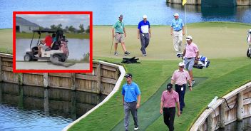 alligatore-video-golf-florida