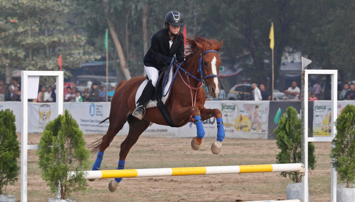 Ragazza 13enne morta a causa del calcio di un cavallo, la tragedia in un  maneggio di Reggio Emilia