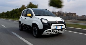 fiat-panda-pandina