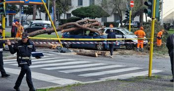 albero-pino-auto-roma-via-cristoforo-colombo-ferito