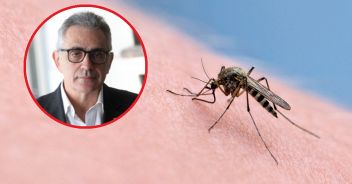 Febbre Dengue casi Italia Fabrizio Pregliasco