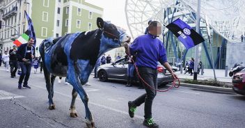 mucca-inter-festa-scudetto-milano-oipa-lautaro