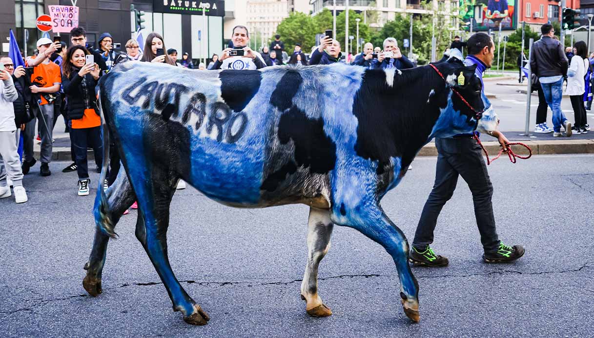 mucca-inter-festa-scudetto-milano-oipa
