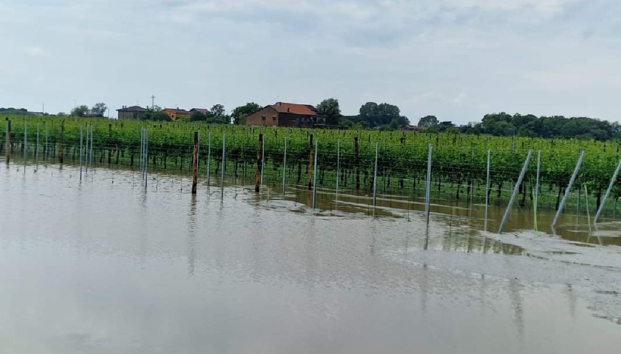 inondazione Bibione Venezia