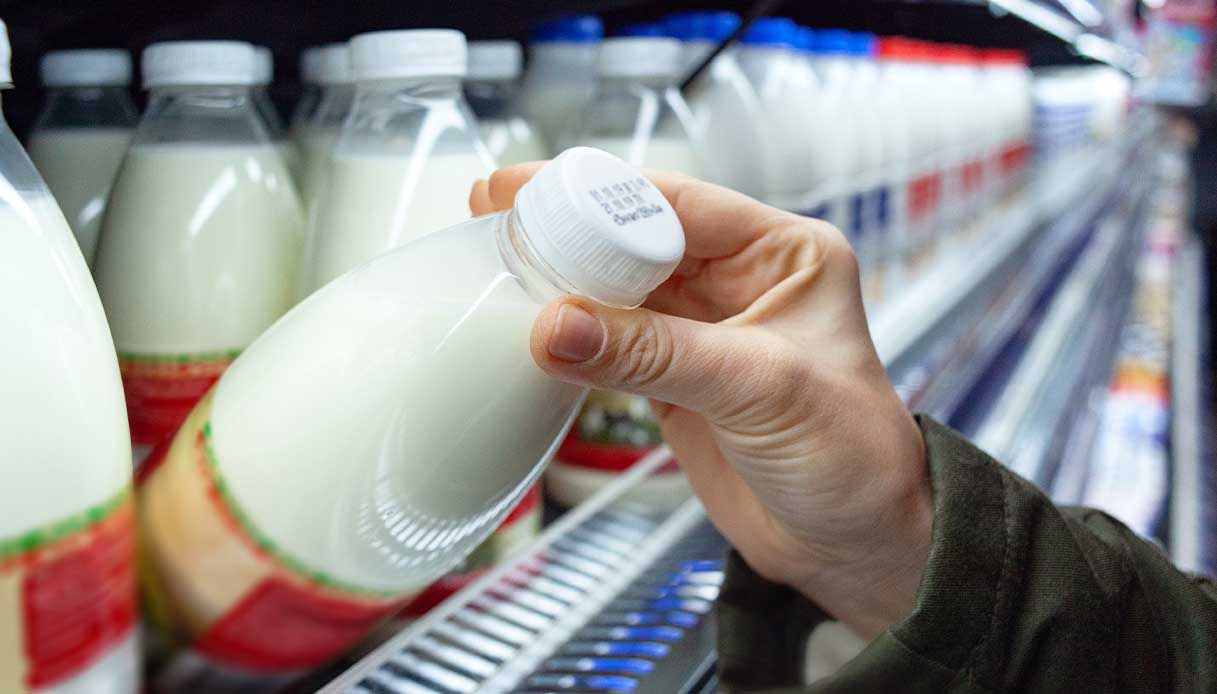 WHO alarm on avian flu virus in raw milk, H5N1 is affecting several animals: the risks for humans