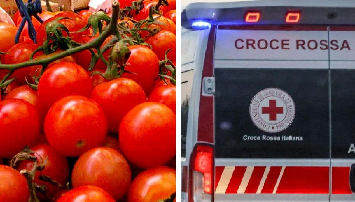 Intossicati 132 bambini in due scuole di Modena: colpa dei pomodorini forniti dal ministero dell