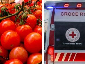 Intossicati 132 bambini in due scuole di Modena: colpa dei pomodorini forniti dal ministero dell'Agricoltura