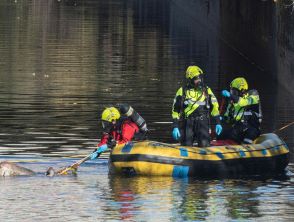 Trovato morto l'uomo dato per disperso a Cantù dopo il crollo del ponticello: trascinato dal fiume in piena